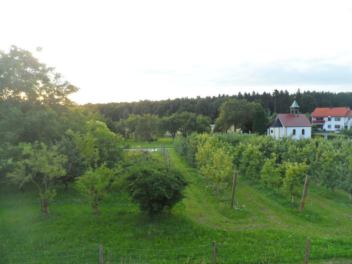 Pension Am Kirschgarten ゲスヴァインシュタイン エクステリア 写真