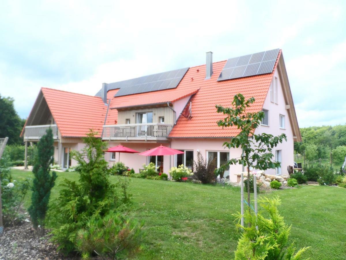 Pension Am Kirschgarten ゲスヴァインシュタイン エクステリア 写真
